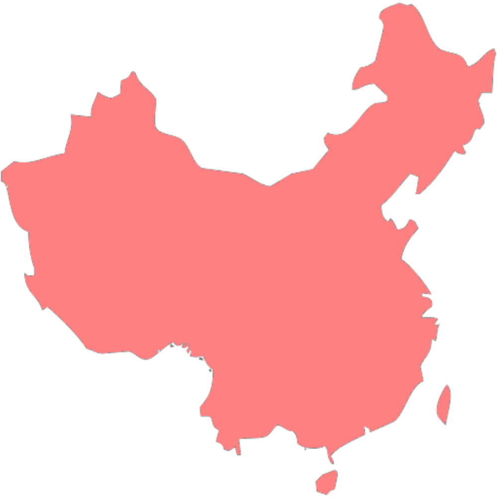 VCT CHINA Logo